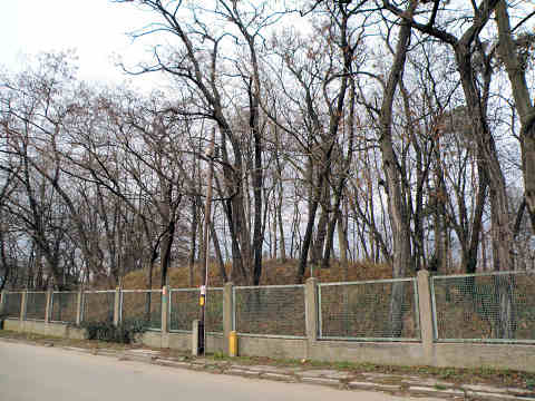 [Rozmiar: 46025 bajtw]